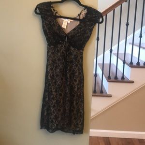 Max Studio Black Lace Lined Dressed - NWOT